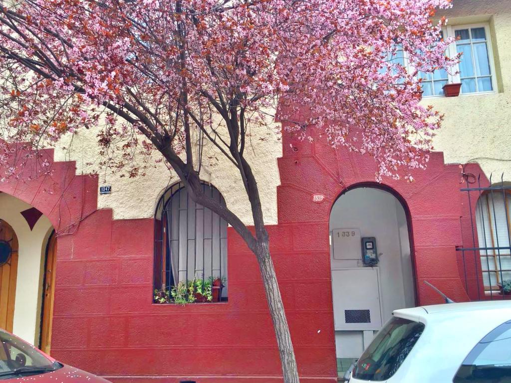 Tralkan B&B Santiago de Chile Bagian luar foto