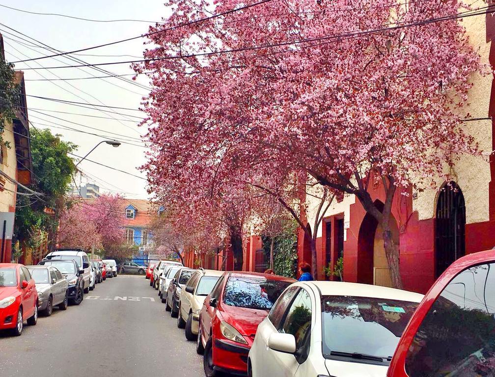 Tralkan B&B Santiago de Chile Bagian luar foto