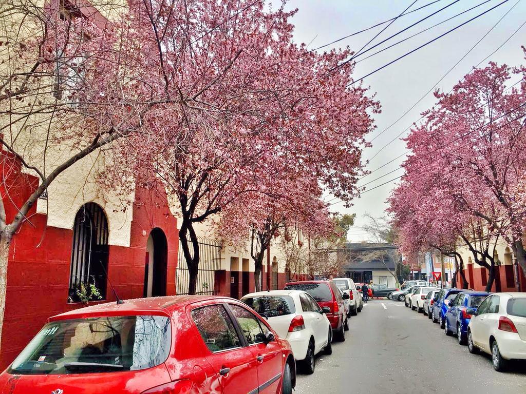 Tralkan B&B Santiago de Chile Bagian luar foto